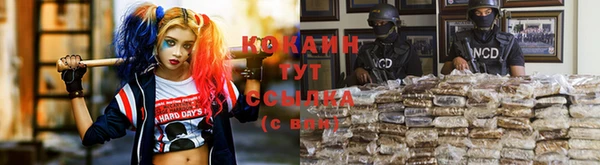 крисы Верея
