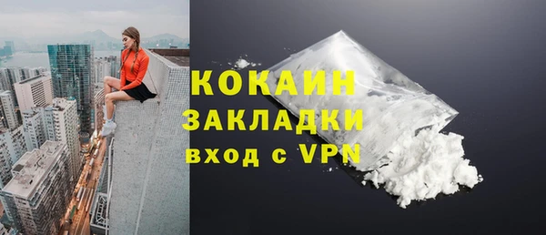 крисы Верея