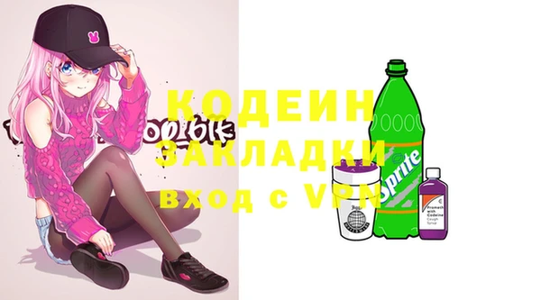 хмурый Верхний Тагил