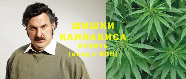 крисы Верея