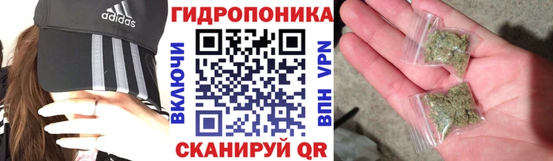 купить сайты Кызыл Каннабис SATIVA & INDICA